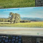IMG_8595_Scale_1080
